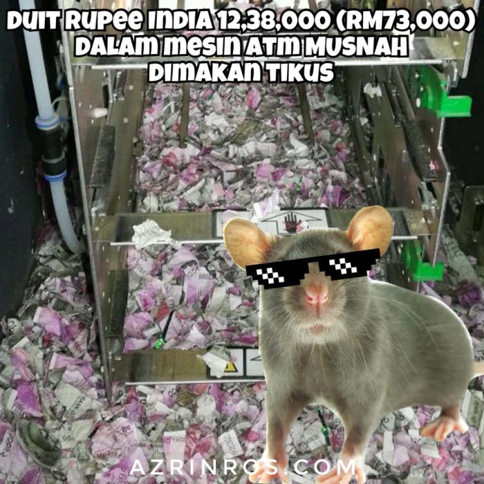 Duit kertas didalam mesin ATM milik sebuah bank di India dirosakkan oleh tikus